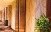 Туры в отель Junge Hotel
