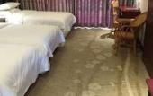 Туры в отель Junge Hotel