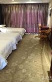 Туры в отель Junge Hotel