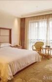 Туры в отель Junge Hotel