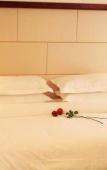 Туры в отель Junge Hotel