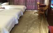 Туры в отель Junge Hotel