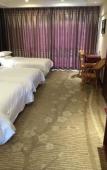 Туры в отель Junge Hotel