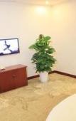 Туры в отель Junge Hotel