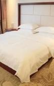 Туры в отель Junge Hotel