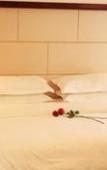 Туры в отель Junge Hotel
