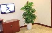 Туры в отель Junge Hotel