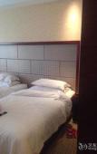 Туры в отель Junge Hotel