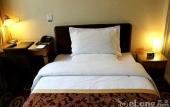 Туры в отель Haowei Mansion hotel