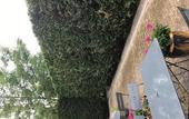 Туры в отель Kyriad Epernay