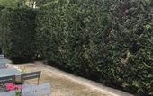 Туры в отель Kyriad Epernay