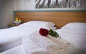 Туры в отель B&B Hotel Eurorest Conegliano