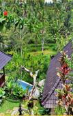 Туры в отель Wedang Villa