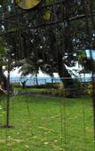 Туры в отель Golden Sunset Beach Club