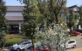 Туры в отель Xinzhi Hotel