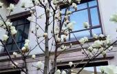 Туры в отель Xinzhi Hotel