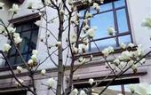 Туры в отель Xinzhi Hotel