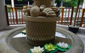 Туры в отель Mianzhou Hotel