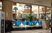 Туры в отель Royal International Hotel