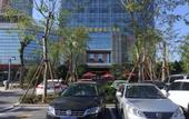 Туры в отель Yong Hua Shun Geng International Hotel