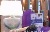 Туры в отель Lavande Hotel Guengzhou high speed rail station Shibi Metro Station