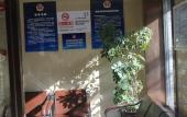 Туры в отель Read and Rest Hotel