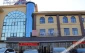 Туры в отель COSY FEELING HOTEL