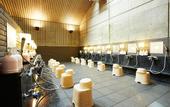 Туры в отель Osaka Academia