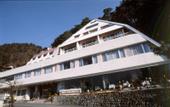Туры в отель Mizno Hotel