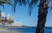 Туры в отель Wisterian Life Club Atami