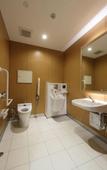 Туры в отель Kuretake Inn Premium Nagoya Nayabashi