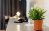 Туры в отель Hotel Florjanckov Hram