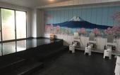 Туры в отель Fuji Mountain Resort Hotel