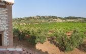Туры в отель Agriturismo Posta Pastorella