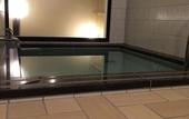 Туры в отель Matsuya Ryokan
