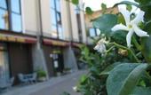 Туры в отель Kona Hotel Verona