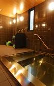Туры в отель Koyasan Syukubo Zofukuin