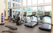 Туры в отель DoubleTree by Hilton Miami - Doral, FL