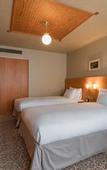 Туры в отель JR KYUSHU HOTEL Blossom Oita