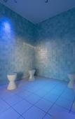 Туры в отель JR KYUSHU HOTEL Blossom Oita