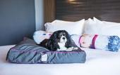 Туры в отель Aloft by Marriott Coral Gables