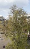 Туры в отель KONCEPT Hotel Zum Kostbaren Blut