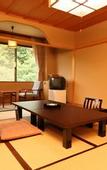 Туры в отель Nakaoyama Onsen Shosenkaku