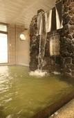 Туры в отель Nakaoyama Onsen Shosenkaku