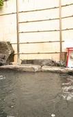 Туры в отель Nakaoyama Onsen Shosenkaku
