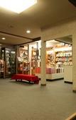 Туры в отель Nakaoyama Onsen Shosenkaku