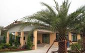 Туры в отель QG Resort