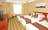 Туры в отель Muong Thanh Quy Nhon Hotel