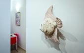 Туры в отель Kaktus Guest House