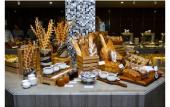 Туры в отель The Mira Central Park Hotel